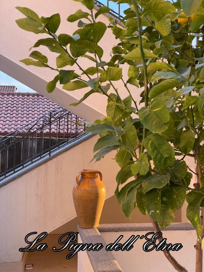 La Pigna Dell'Etna Apartment Николози Екстериор снимка