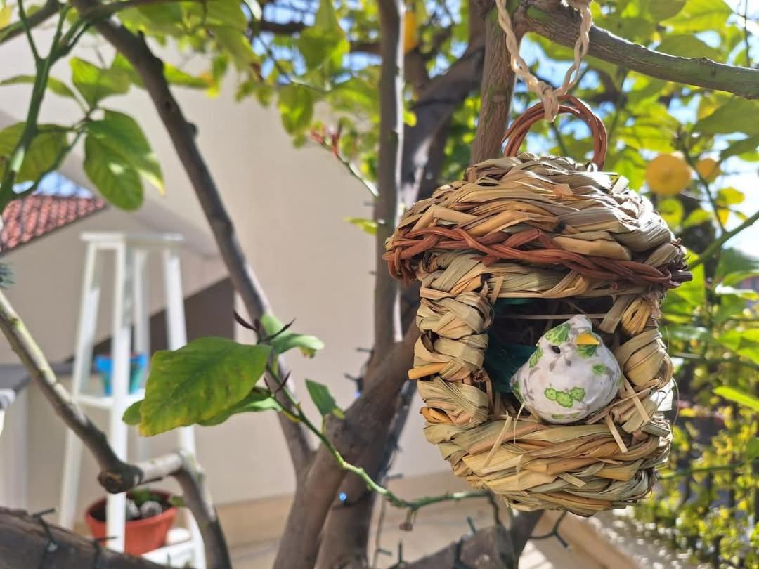 La Pigna Dell'Etna Apartment Николози Екстериор снимка